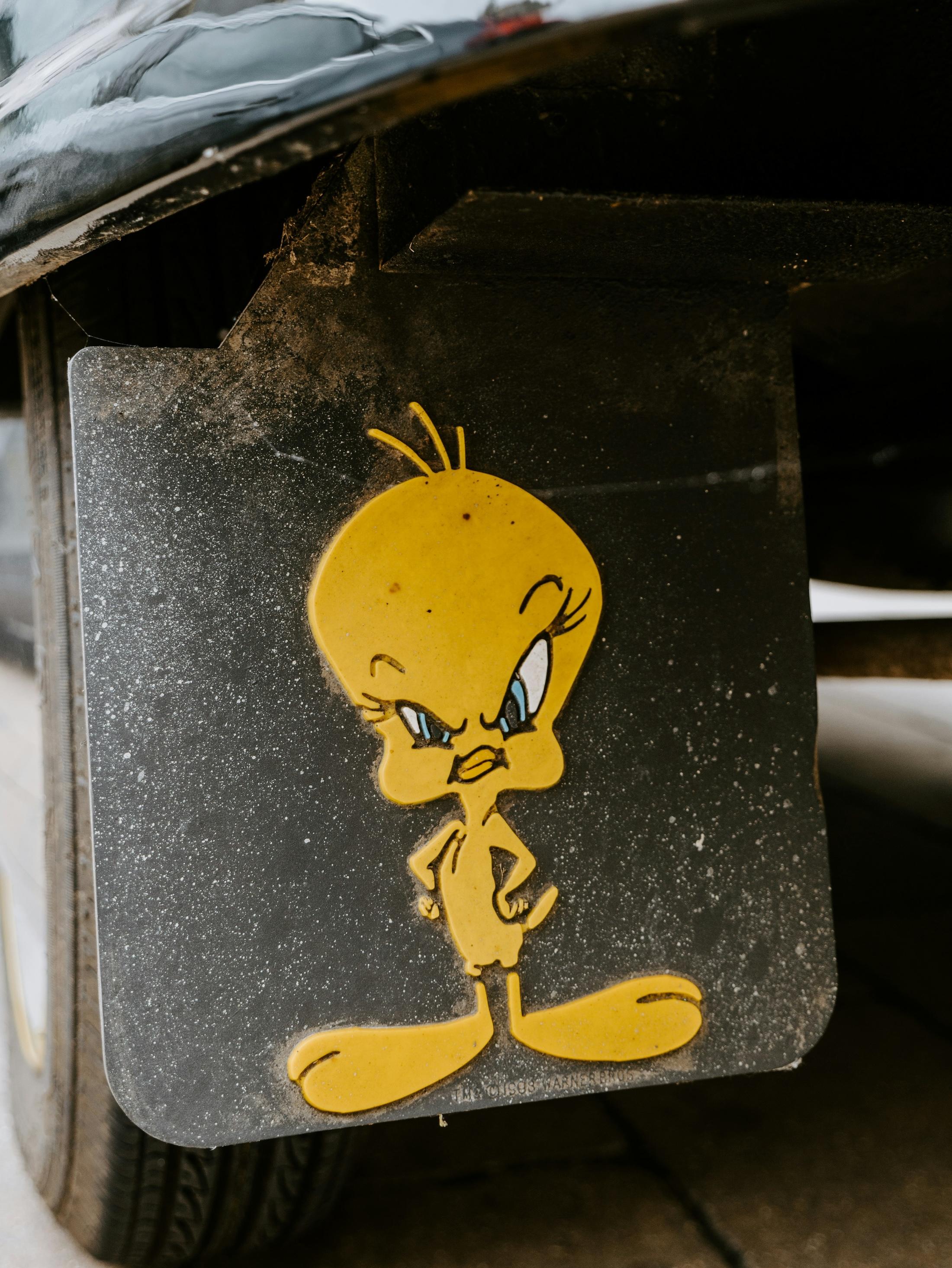 RV mudflap with Tweety